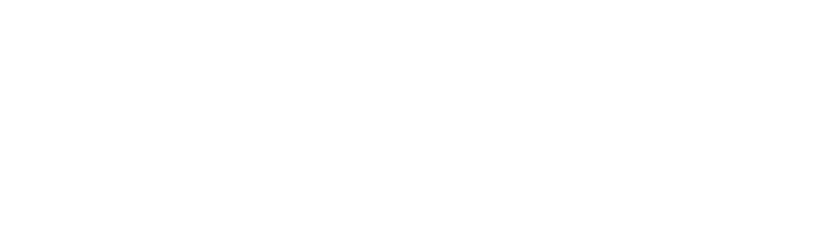Google Play Store